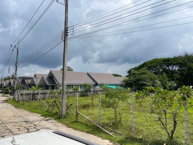 ขายที่สวย เนื้อที่ 8-1-64ไร่  ทำเลดี ติดถนน ถมแล้วเรียบร้อย เดินทางสะดวก สบาย ใกล้มหาลัยแม่โจ้ 