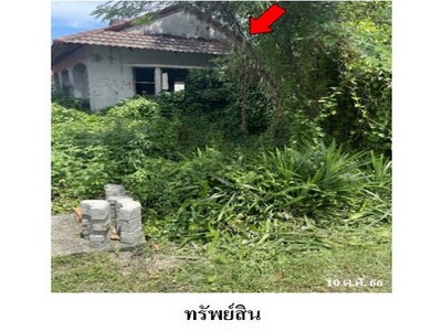 ขต.มะม่วงสองต้น อ.เมืองนครศรีธรรมราช จ.นครศรีธรรมราช