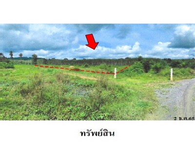 ขายที่ดินว่างเปล่า ต.ควนกรด อ.ทุ่งสง จ.นครศรีธรรมราช