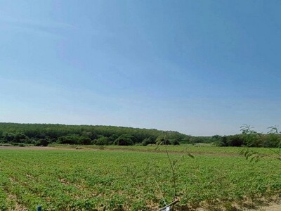 ขายที่ดินเขาคันทรง ศรีราชา แปลงสวย ทำเลดี เยื้องๆนิคมโรจนะ บ่อวิน