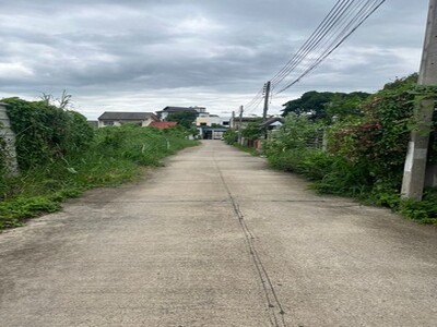 ขาย 3.9 ล้าน 138 ตรว. เดินทางสะดวก ถูกสุดๆ แม่ริม