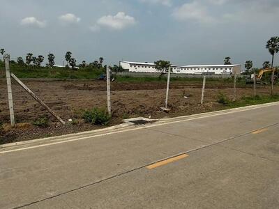 ขายที่ดิน ปทุมธานี ใกล้เทศบาลบางหลวง ซอยเทศบาล1