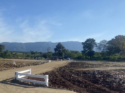 ที่เขาใหญ่หมูสีโฉนดครุฑแดงวิวเขา376วาน้ำไฟ ปากช่องโคราชo86-3ol-6l