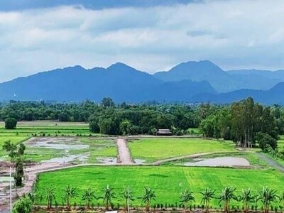 ที่ดินวิวเขาสวยมาก เริ่ม6.9แสน/ไร่ ผ่อนได้40เดือน บ้านพร้าว นครนา