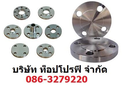 หน้าแปลนพีวีซี หน้าแปลนประปา หน้าแปลนเหล็ก Flange หน้าแปลนสแตนเลส หน้าแปลนเกลียว หน้าแปลนเชื่อม 0863279220