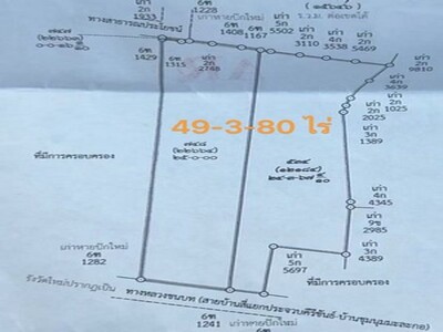 ให้เช่าที่ดินเปล่าเกือบ 50ไร่ (แบ่งเช่า 25 ไร่ได้) แปลงสวย ติดถนน