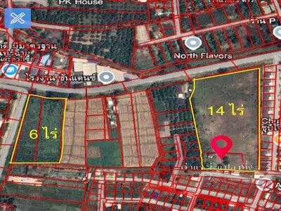ขายที่ดิน 2 แปลง ใกล้กัน   มี 6 ไร่ และ 14 ไร่  อ.สันป่าตอง  เชีย