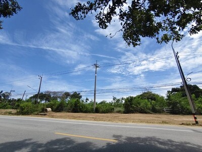 ขายที่ดินพัทยา 31 ไร่ 2 ตรว. ต.หนองปรือ อ.บางละมุง จ.ชลบุรี
