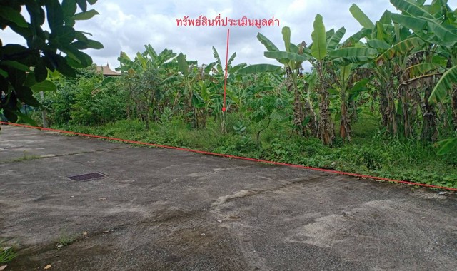 ขายที่ดินว่างเปล่า หมู่บ้านบ้านภัทรา อุตรดิตถ์ (PKK01-10020)