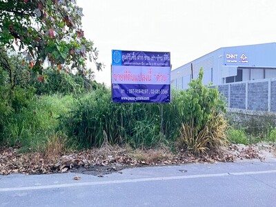ขายที่ดินเปล่า เนื้อที่  9 ไร่ 1 งาน 71.2 ตร.ว. 
