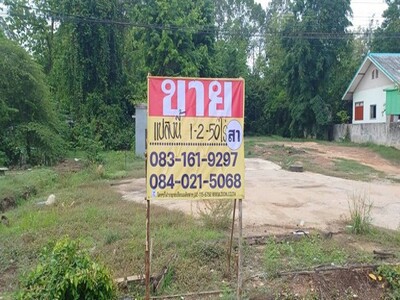 ขายที่ดินราคาถูก 1-2-50 ไร่  ติดถนนสายเลี่ยงเมือง   เมืองพิษณุโลก