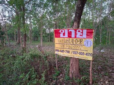 ขายที่ดินราคาถูก 4-0-98 ไร่  ติดถนนลาดยาง  บ้านเมืองบาง  เมืองหนอ