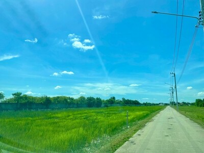 ขาย ที่ดิน 1 ไร่  สามเรือน บางปะอิน อยุธยา  ติดถนนสาธารณะ