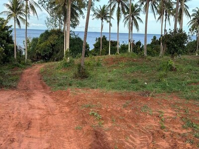 ตุนทรัพย์เก็บขายเก็งกำไร ที่ดินสวยใกล้หาดฝั่งแดง 2.8 ลบ.