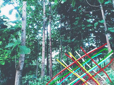 ตุนทรัพย์เก็บขายเก็งกำไร ที่ดินติดลำธาร น้ำมวบ ใสไหลฉ่ำตลอดปี จ.น