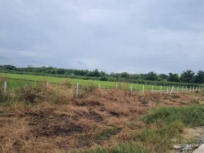 ขายที่ดิน5- 40 ไร่ ถมแล้ว เขต EEC ติดถนนสาธารณะ อ.เมืองฉะเชิงเทรา
