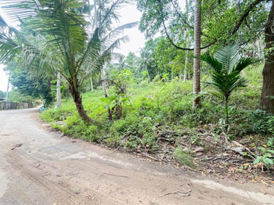 Scenic Land for Sale or Lease in Koh Samui  Ready to Build