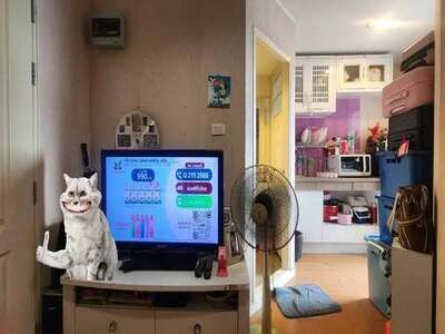  คอนโดวิวเส้นรถไฟฟ้า สุดสวย ติดถนนรามอินทรา ใกล้รถไฟฟ้า 