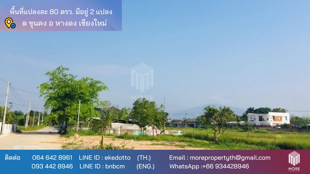 More-099LS ขายที่ดินใกล้บ้านถวาย 80 ตร.ว. 2.5 กม. จากกาดน้ำโท้ง ต.ขุนคง อ.หางดง จ.เชียงใหม่