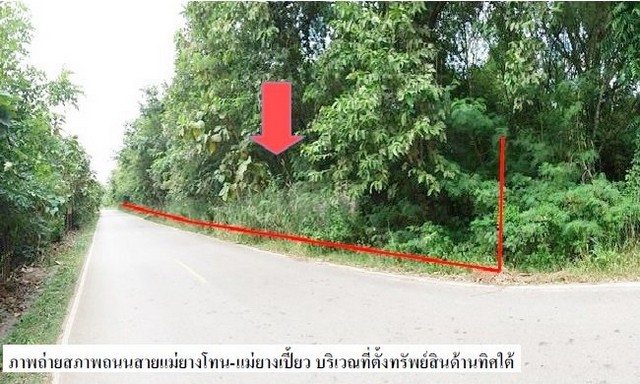 ขายที่ดินว่างเปล่าโครงการ แม่ยางโทน ร้องกวาง แพร่ PSC09819