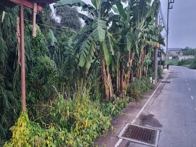 ขายด่วน ที่ดินสวนในเขตเทศบาลเขตรอุดมศักดิ์ ต.สัตหีบ อ.สัตหีบ จ.ชล