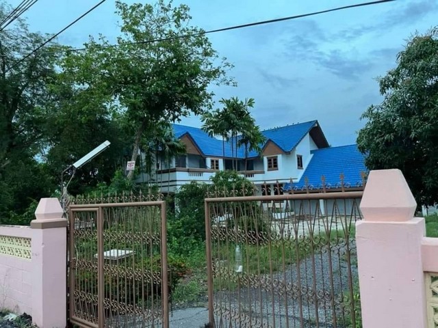LVPP4162 ขายที่ดินคลอง 9 หนองเสือ ปทุมธานี ใกล้มอเตอร์เวย์เส้นใหม่