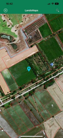 แบ่งขายที่ดิน 8 ไร่ พื้นที่สีเขียว ตำบลเชียงรากน้อย อำเภอสามโคก จังหวัดปทุมธานี