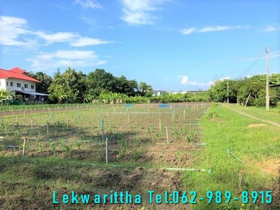 ขายที่ดิน หลังแมคโครแม่ริม เชียงใหม่  แปลงสวย เนื้อที่ 3 ไร่ หน้ากว้าง 46 เมตรติดถนน 