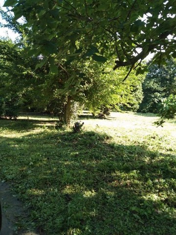 每平方窪地 8,000 泰銖，   ???? 425 平方窪地。在後面公共水渠，距離三賽醫院約3公里。#出口方便，離主幹道不遠。