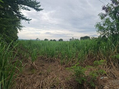 สรรหาทรัพย์เพื่อคนไทย ขายที่ปากช่อง 2-8ไร่ โฉนด ต.วังไทร ไร่ละ 2.