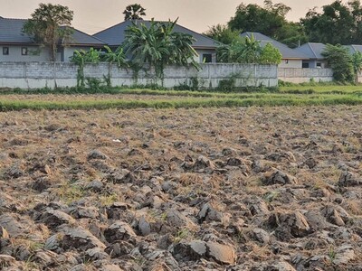 ขายที่ดินแปลงยาวฉะเชิงเทรา ที่ดิน 11 ไร่ 56 ตารางวา 