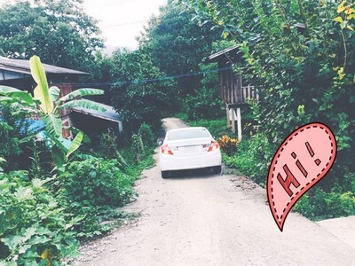 สรรหาทรัพย์ดีเพื่อคนไทย  ที่ดินติดลำธารน้ำมวบ ใสไหลฉ่ำตลอดปี จ.น่