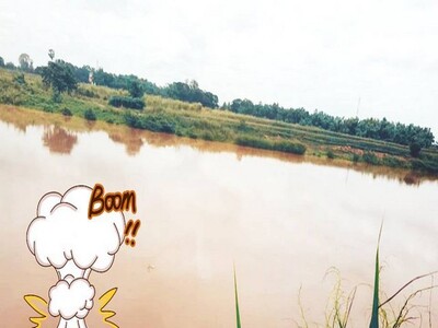 สรรหาทรัพย์ดีเพื่อคนไทย ขายที่ติดแม่น้ำน่าน ต.โคกหม้อ ชุมแสง.นครส