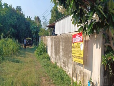 ขายที่ดิน 1-3-60 ไร่ ราคาถูก ในชุมชน  บ้านกร่าง เมืองพิษณุโลก