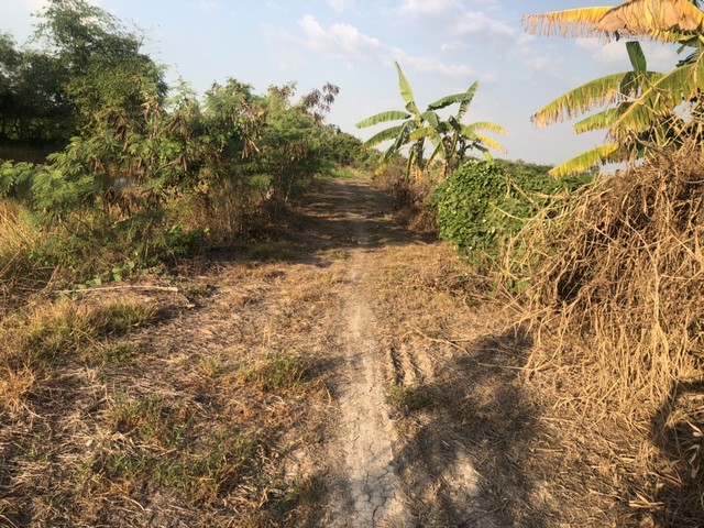 ที่นาแปลงสวยย่านเจริญเมืองปทุมธานี ใกล้แหล่งน้ำเหมาะทำเกษตร  ใกล้ชุมชน 5ไร่  อำเภอลาดหลุมแก้ว ปทุมธานี ลาดหลุมแก้วไร่ละ 1ลบ. โทร 083-7124115