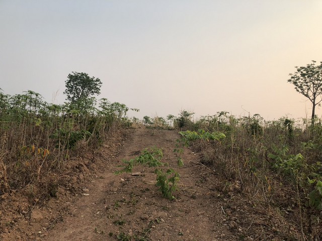 ทำเลดีวิวสวยเนินเขาดินดีสมบูรณ์แบ่งที่ขาย ท่ามกลางธรรมชาติหล่มเก่า ดินดีทำเกษตรงาม  ที่ดินดีสมบูรณ์ หล่มเก่า เพชรบูรณ์ ใกล้ภูทับเบิก ไร่ๆละ 400000หล่มเก่าโทร 0968821857