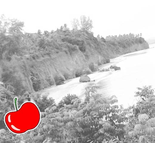 แบ่งขายที่สวยใกล้ทะเลหาดธรรมชาติ สวยงาม เหลือน้อยเต็มที  บางสะพานน้อย  ทะเลฝั่งแดง บางสะพานน้อย  ประจวบ  แปลงเล็ก วาละ 6900 บาท หาดผาฝั่งแดง UNSEEN THAILAND 