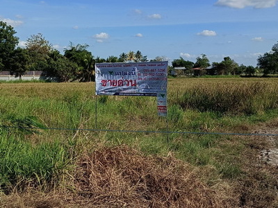 ที่ดิน 1-3-59.0 ไร่ ต.ขามทะเลสอ อ.ขามทะเลสอ จ.นครราชสีมา
