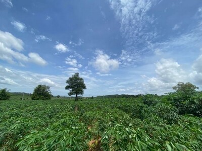 ขายที่ดินบ่อวิน ศรีราชา ชลบุรี 