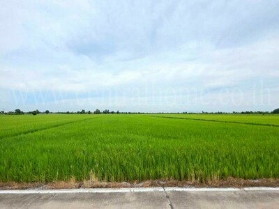 ที่ดินเปล่า 6-1-89 ไร่ คลองนิยมยาตรา บางบ่อ สมุทรปราการ