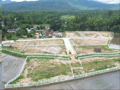 ประกาศขายที่ดินเปล่า 285 ตารางวา แม่ริม เชียงใหม่