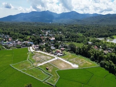 ประกาศขายที่ดินเปล่า 400 ตารางวา แม่ริม เชียงใหม่