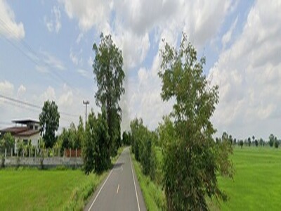 ขาย ที่ดินติดถนน 4-1-53 ตรว.เฉลิมพระเกียรติ จ.บุรีรัมย์ เจ้าของขา