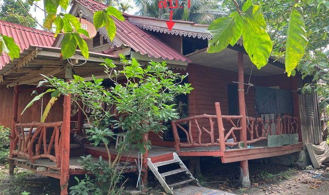 ขายบ้านเดี่ยวใกล้ โรงพยาบาลเกาะพะงัน อ.เกาะพะงัน จ.สุราษฎร์ธานี PKK02-14738