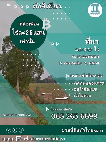 ขายที่ดิน อ. ตะพานหิน/จ. พิจิตร ต.หนองพยอม 40-3-21 ไร่ 