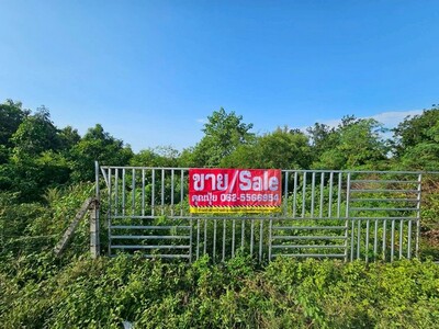 ขายที่เปล่าติดถนนจังหวัดราชบุรี ใกล้ศูนย์การเรียนรู้เศรษฐกิจพอเพี