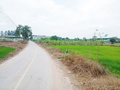 ขายที่ดิน ตำบล บางคูรัด บางบัวทอง นนทบุรี เนื้อที่ 1 ไร่ โฉนดครุฑ