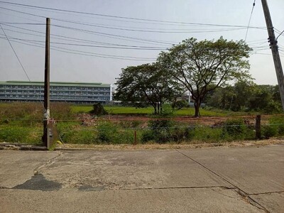 ที่ดินเปล่า ทำเลดี ในหมู่บ้าน ติดถนนคอนกรีต หนองผึ้ง สารภี 