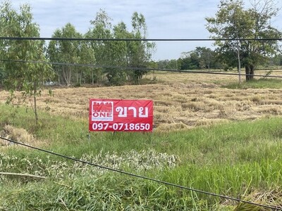 ขายที่ดินแปลงใหญ่ ทำเลทอง ใจกลางอ.สีดา เพียง 9.88 ลบ.