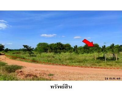 ขายที่ดินว่างเปล่า ต.โคกสูง อ.เมืองชัยภูมิ จังหวัด ชัยภูมิ